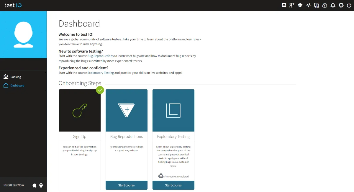 Test IO review screenshot