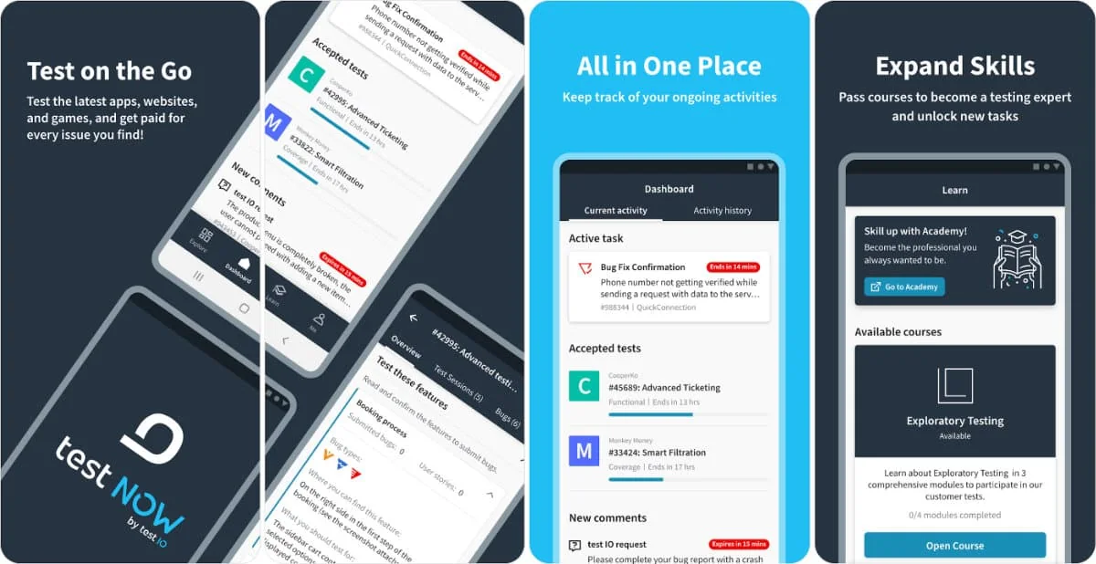 Test IO review screenshot